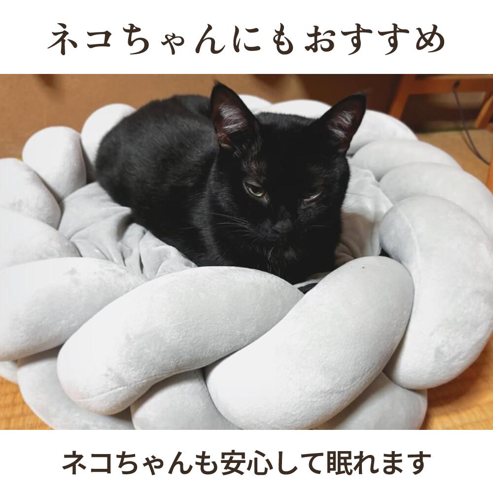 【30％オフ 期間限定  公式ショップ限定価格 】Suuu ペットベッド